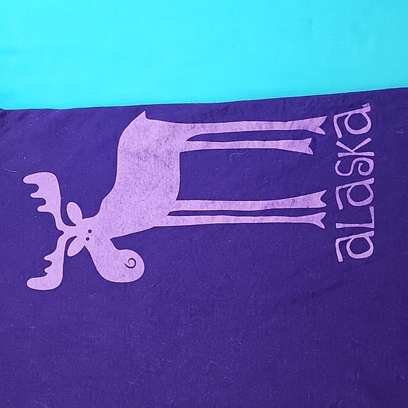 NWOT Alaska Moose T-Shirt with Matching Hat - Picture 9 of 16